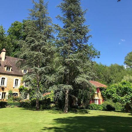 Bed & Breakfast Le Moulin Neuf Saint-Alvere Экстерьер фото