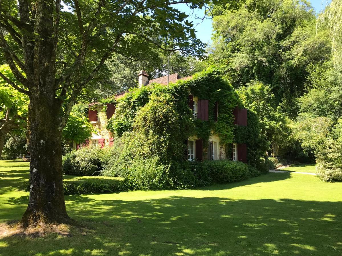 Bed & Breakfast Le Moulin Neuf Saint-Alvere Экстерьер фото