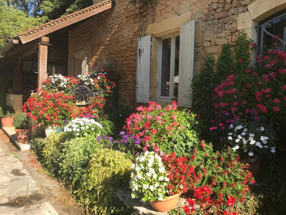 Bed and Breakfast Bed & Breakfast Le Moulin Neuf Saint-Alvere Экстерьер фото