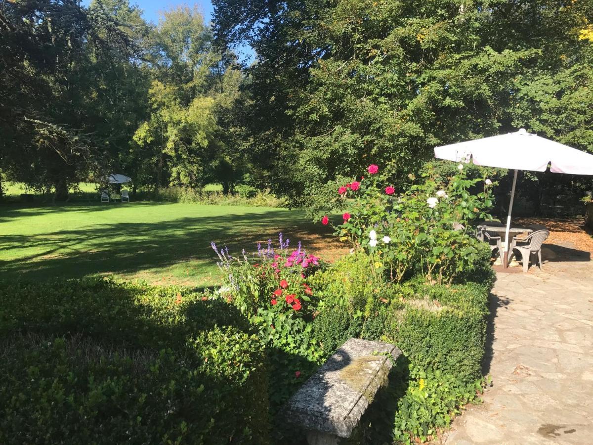 Bed & Breakfast Le Moulin Neuf Saint-Alvere Экстерьер фото