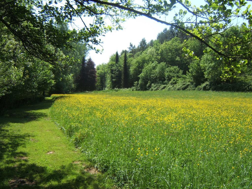 Bed & Breakfast Le Moulin Neuf Saint-Alvere Экстерьер фото