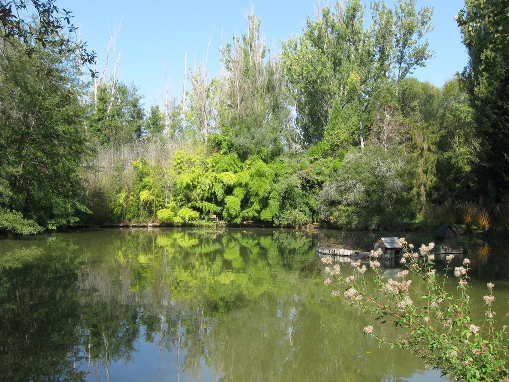Bed & Breakfast Le Moulin Neuf Saint-Alvere Экстерьер фото